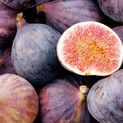 Инжир МУАССОН в Вологде