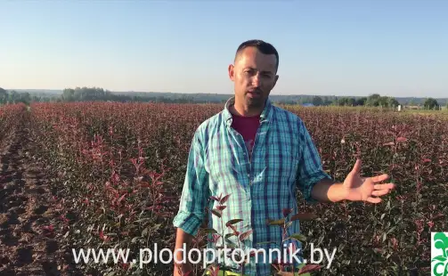 Превью видео