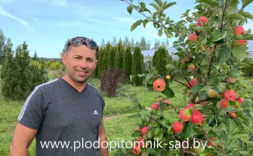 Превью видео