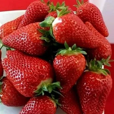 Клубника БРИЛЛА  Клубника БРИЛЛА в Вологде